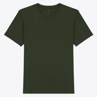 Olive Night