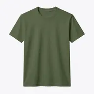 Olive Night