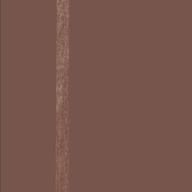 Soft Brown