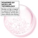 Garnier Micellar Cleansing Water All-in-1 13.5 fl.oz - Hydrating Facial Cleanser & Makeup Remover for Sensitive Skin 3