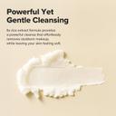 Beauty Of Joseon Radiance Cleansing Balm - Makeup, Sunscreen, Pore Cleanser for Sensitive Acne Skin 3.38 fl.oz 3