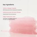 Biodance Collagen Gel Toner Pads 60 Count - Plumping Toner Pads for Sensitive Skin 8