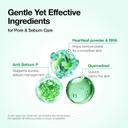 Anua Heartleaf Quercetinol Pore Deep Cleansing Foam 5.07 fl.oz - Hydrating Daily Facial Cleanser For Double Cleansing 4