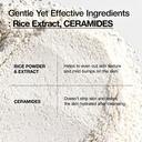 Anua Rice Enzyme Brightening Cleansing Powder 1.41 oz - Exfoliating Powder-to-Foam Cleanser 5