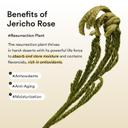 Abib Collagen Peptide Eye Patches 60 Count - for Wrinkles & Fine Line with Jericho Rose Jelly 5