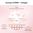 Abib PDRN Collagen Lip Mask Glazed Jelly 0.38 fl.oz - Hydrating Care Moisturizer Treatment for Flakey, Dry Lips 4