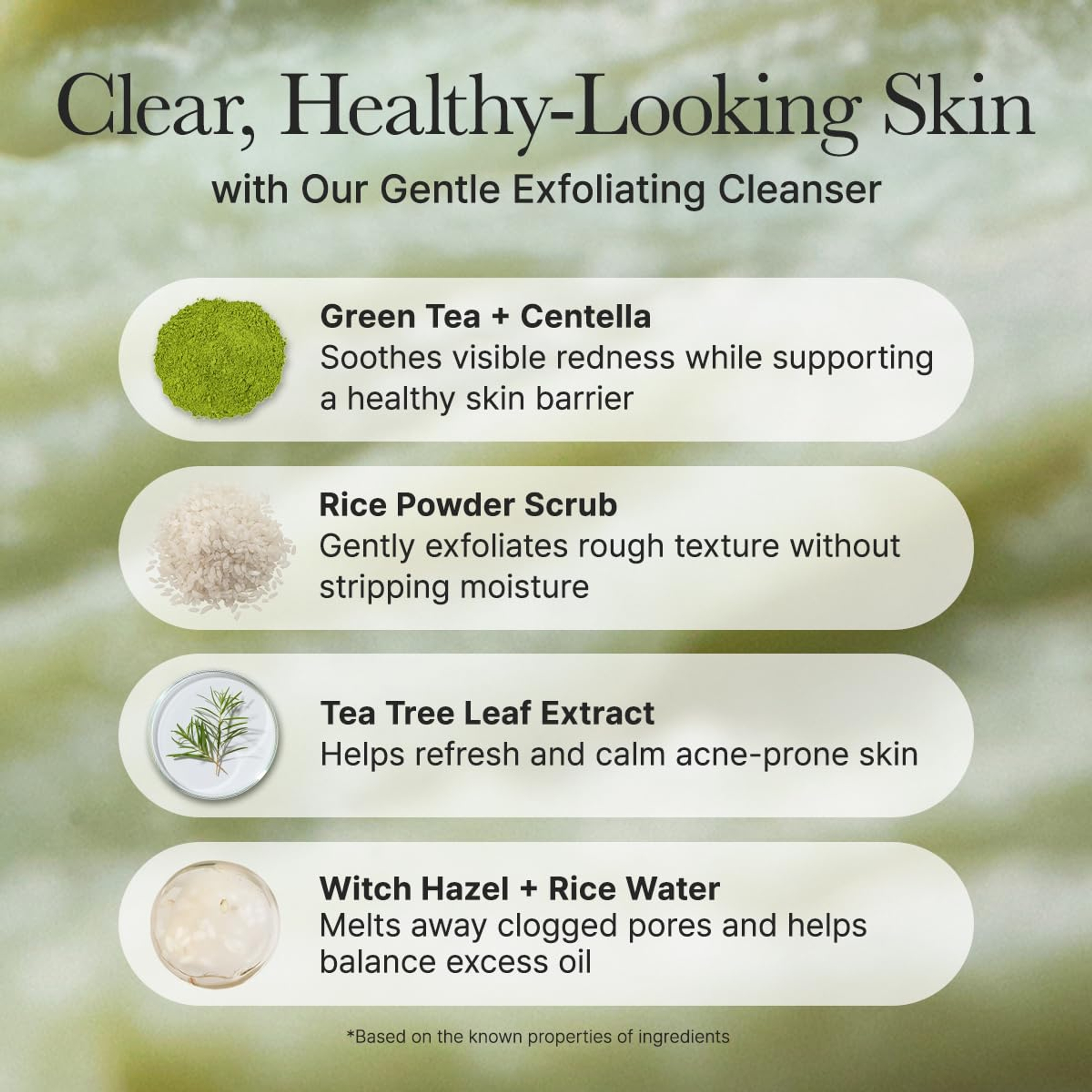 Arencia Fresh Green Rice Mochi Face Cleanser 4.23 fl.oz - Gentle Scrub All in One for Deep Cleansing 5