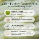 Arencia Fresh Green Rice Mochi Face Cleanser 4.23 fl.oz - Gentle Scrub All in One for Deep Cleansing 5