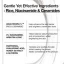Anua 7 Rice Ceramide Hydrating Barrier Serum 1.69 fl.oz - Moisturizing Face Serume for Sensitive Dry Skin 4