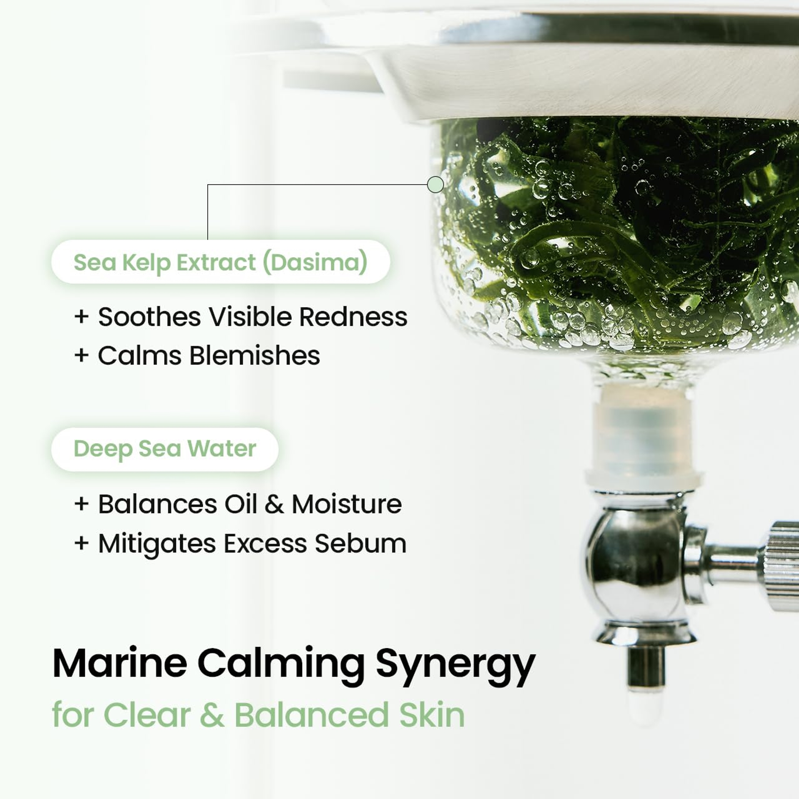 Biodance Refreshing Sea Kelp Real Deep Mask 1.19 oz (Pack of 4) - Overnight Hydrogel Face Mask 4