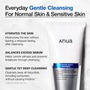 Anua 8 Hyaluronic Acid Hydrating Gentle Foaming Cleanser 5.07 fl.oz - Daily Face Wash for Dry & Sensitive Skin 3