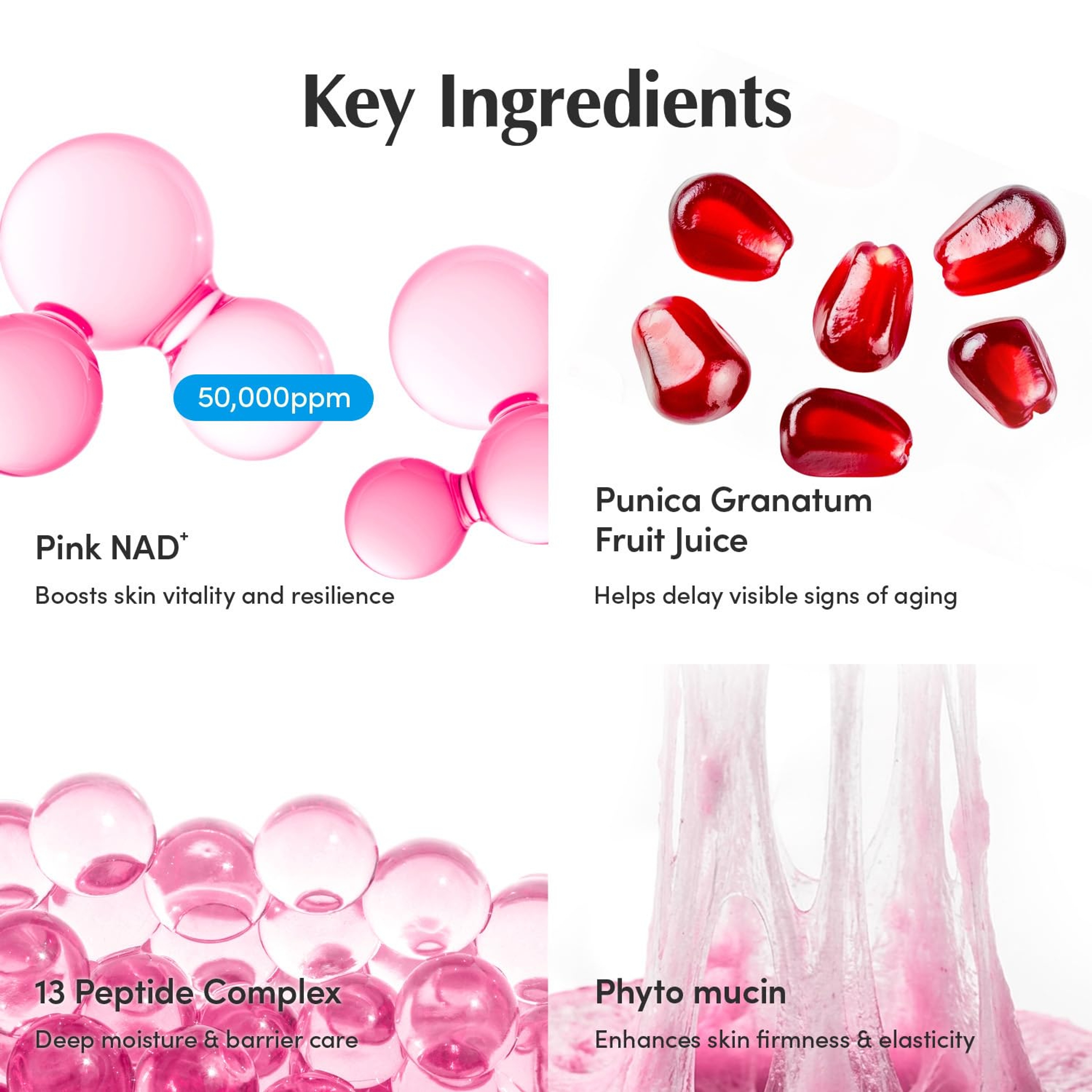 Eqqualberry NAD+ Peptide Boosting Cream – Anti-Aging, Firming & Lifting Pink Cream for Sagging Skin 1.69 fl.oz 4