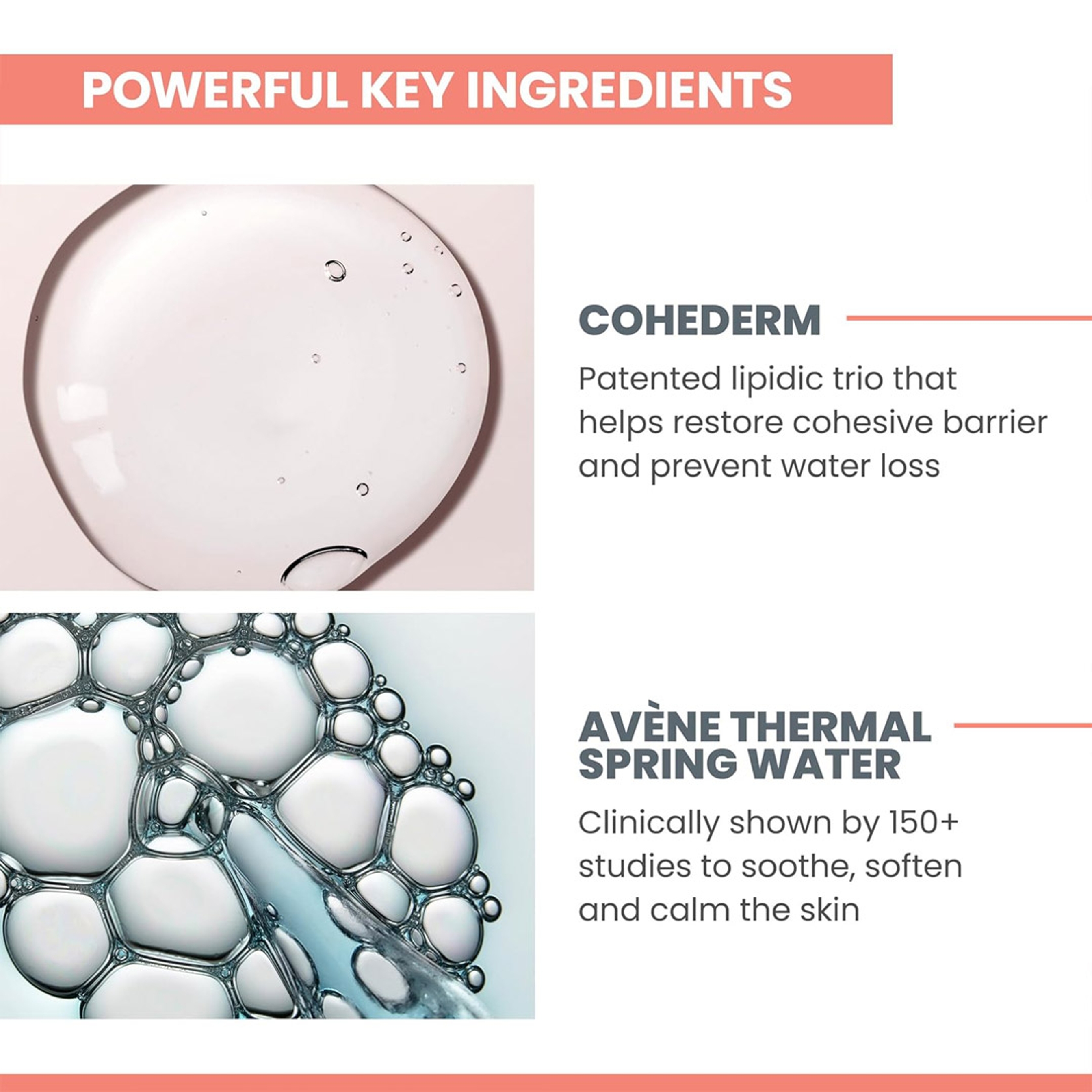 Avène Hydrance RICH Hydrating Cream 1.3 fl.oz - Daily Face Moisturizer for Dry Skin 4