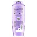 L'Oreal Paris Elvive Hyaluron Plump Hydrating Shampoo 12.6 fl.oz - with Hyaluronic Acid for Dehydrated, Dry Hair 9