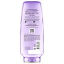 L'Oreal Paris Elvive Hyaluron Plump Hydrating Conditioner 12.6 fl.oz - with Hyaluronic Acid for Dehydrated, Dry Hair 9