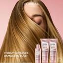 L'Oreal Paris EverPure Bond Repair+ Pre-Shampoo 5.1 fl.oz - Hair Treatment for Color-Treated, Damaged Hair 2