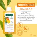 Klorane Nourishing Shampoo with Mango Butter - Replenishing & Radiance Shampoo for Dry Hair 13.5 fl.oz 2