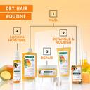 Klorane Nourishing Shampoo with Mango Butter - Replenishing & Radiance Shampoo for Dry Hair 13.5 fl.oz 7