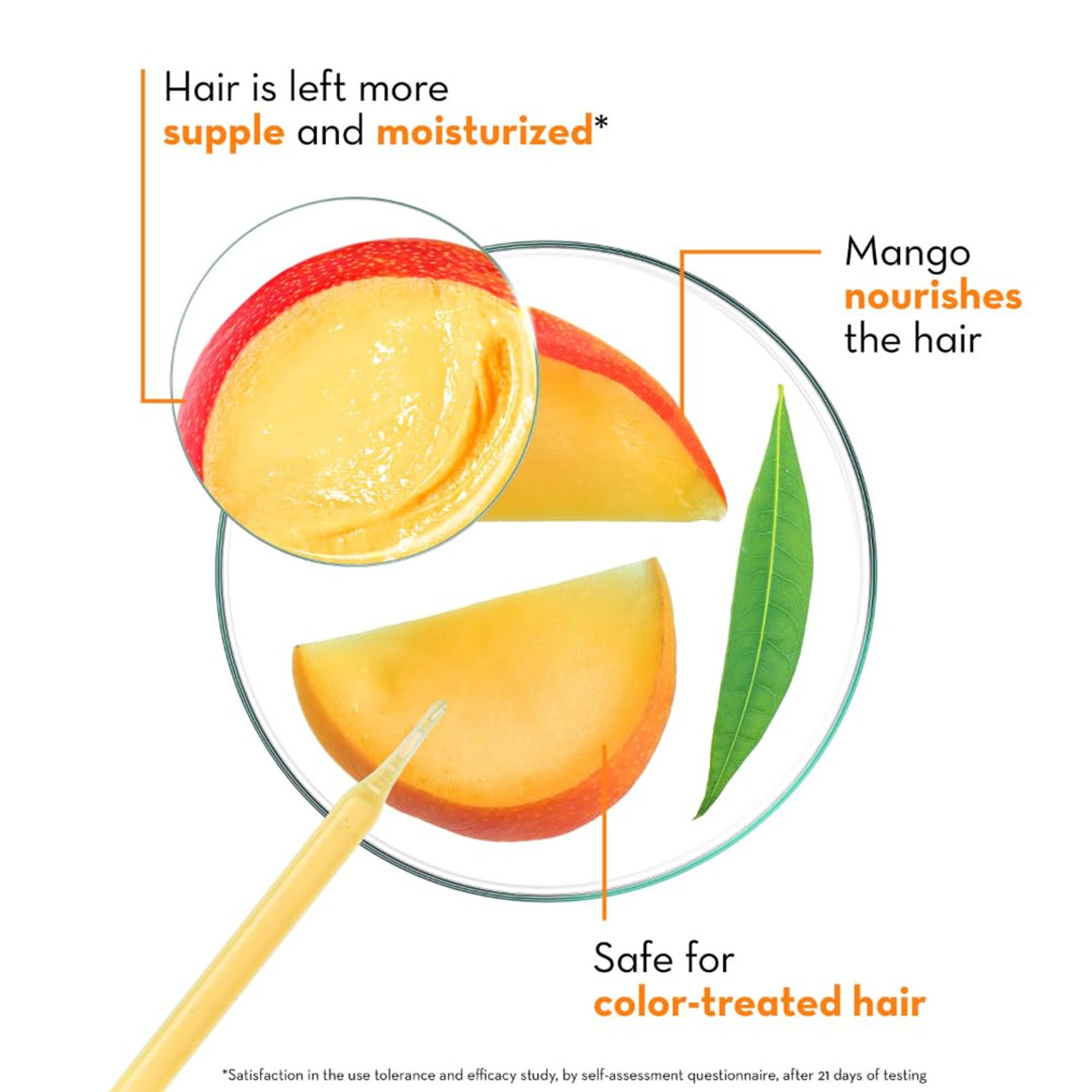 Klorane Nourishing Shampoo with Mango Butter - Replenishing & Radiance Shampoo for Dry Hair 13.5 fl.oz 4