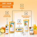 Klorane Nourishing Conditioner with Mango Butter - Moisturize and Hydrate Dry Hair 6.7 fl.oz 5