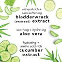 Mario Badescu Facial Spray with Aloe, Cucumber and Green Tea 4 fl.oz - Hydrating & Invigorating Face Mist for All Skin Types 3