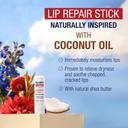 Aquaphor Naturally Inspired Lip Repair Stick, Coconut Oil, 0.17 oz - Hydrating Lip Balm Immediately Relieves Dryness 3