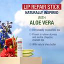Aquaphor Naturally Inspired Lip Repair Stick, Aloe Vera, 0.17 oz - Hydrating Lip Balm Immediately Relieves Dryness 3