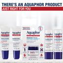 Aquaphor Lip Repair Stick with Jojoba Oil and Shea Butter, Moisturizing Lip Balms, Fragrance Free and Paraben Free, Immediately Relieves Dryness, 0.17 Oz Stick, Pack of 4 33