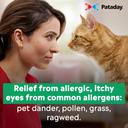 Alcon Pataday Once Daily Allergy Eye Drops for Itchy Eyes 0.085 fl.oz (Pack of 2) 5
