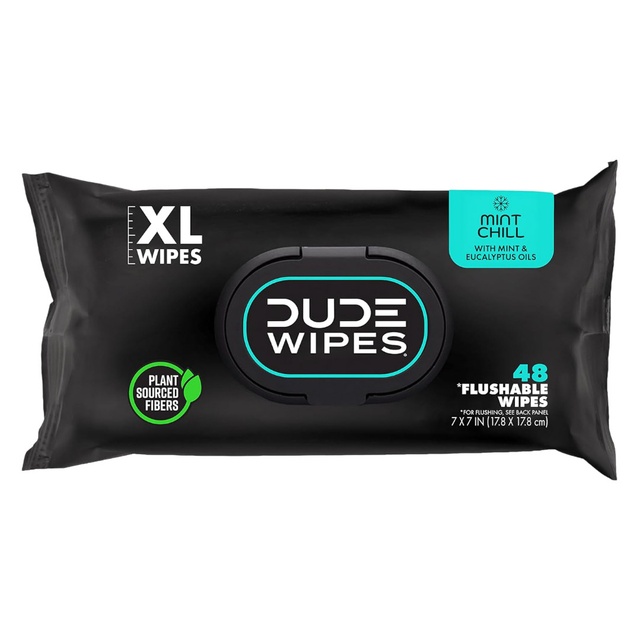 DUDE Wipes Mint Chill Flushable Wipes 48 Count - Extra-Large Adult Wet Wipes, Ultra Refreshing