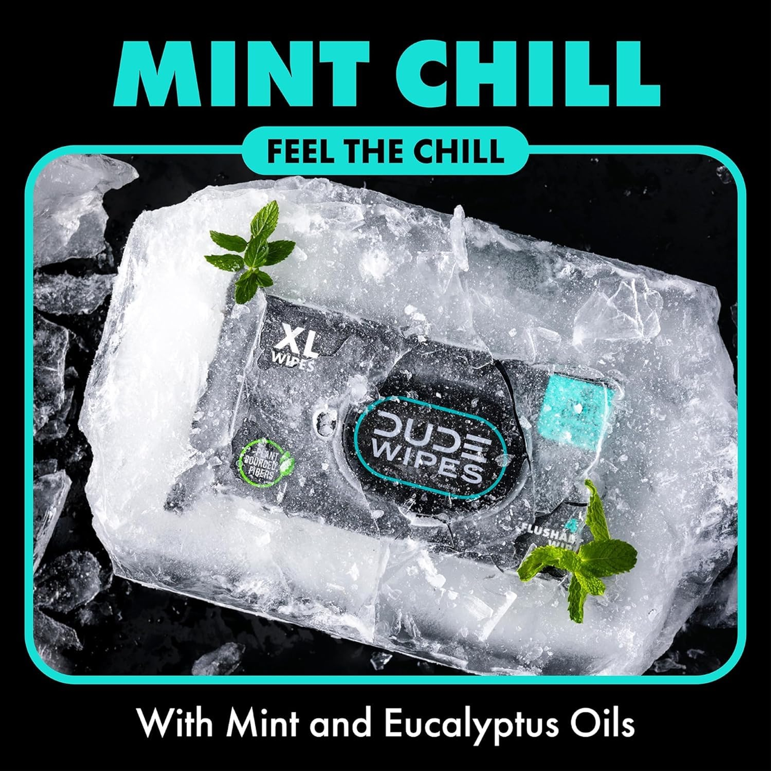 DUDE Wipes Mint Chill Flushable Wipes - Extra-Large Adult Wet Wipes - 1 Pack (48 Count), Travel Pack - Infused with Tea Tree Oil, Vitamin E, and Aloe - Septic and Sewer Safe 34