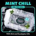 DUDE Wipes Mint Chill Flushable Wipes - Extra-Large Adult Wet Wipes - 3 Pack (144 Count) - Infused with Tea Tree Oil, Vitamin E, and Aloe - Septic and Sewer Safe 65