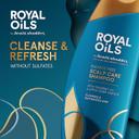 Head & Shoulders Royal Oils Sulfate Free Scalp Care Shampoo 12.8 fl.oz - Moisturizing Shampoo for Curly & Coily Hair 5