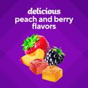 Vitafusion Fiber Well Sugar Free Gummy Vitamin 90 Gummies - Sugar Free Adult Gummy, Berry & Peach Flavors 9