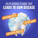 TheraBreath Healthy Gums Oral Rinse, Clean Mint, 16 fl.oz - Alcohol-Free Antigingivitis Mouthwash 3