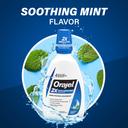 Orajel Mouth Sores Antiseptic Rinse 16 oz - Soothing Mint Flavor, Provides Pain Relief, Promotes Healing 2
