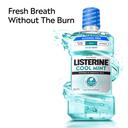 Listerine Cool Mint Alcohol-Free Mild Mouthwash 33.8 fl.oz - Fights Bad Breath Germs for A Fresher & Cleaner Mouth 4