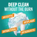 TheraBreath Deep Clean Oral Rinse, Fresh Mint, 16 fl.oz - Alcohol-Free Antiseptic Mouthwash 3