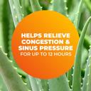 Zicam Extreme Congestion Relief Nasal Spray 0.5 fl.oz - with Aloe Vera, 12H Cold & Allergy Relief 6
