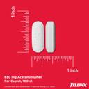 Tylenol 8 Hour Acetaminophen 650 mg Extended Release Caplets, Fast Acting Bi-Layer Design, Quick & Long Lasting Pain Relief for Muscle, Joint, Back & Arthritis Aches, Fever Reducer, 100 Count 5