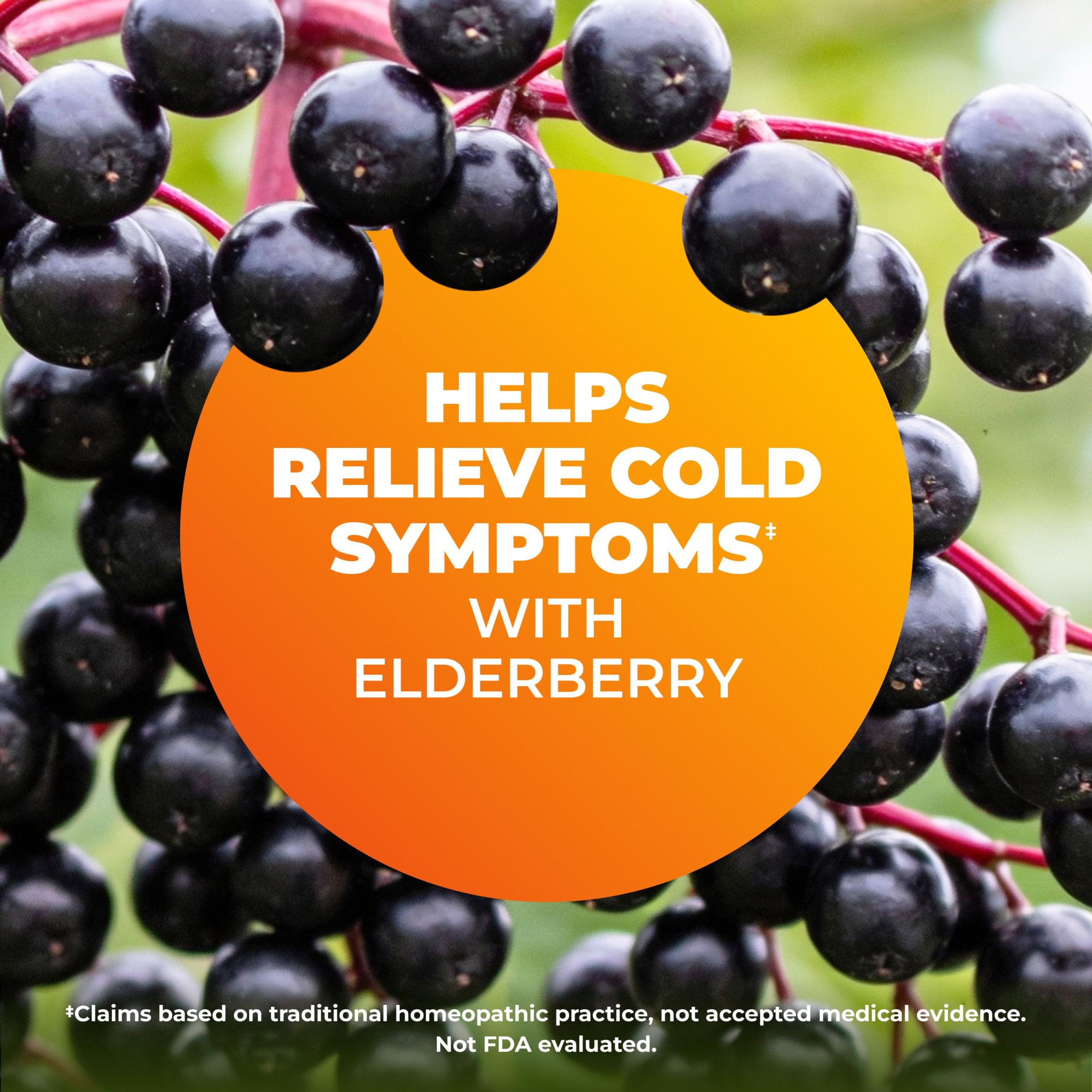 Zicam Cold Remedy RapidMelts, Elderberry Citrus, 25 Count - Shortens Cold Duration, Helps Relieve Stuffy Nose 4
