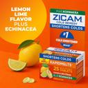 Zicam Cold Remedy RapidMelts, Lemon Lime, 25 Count - Shortens Cold Duration, Helps Relieve Stuffy Nose 5