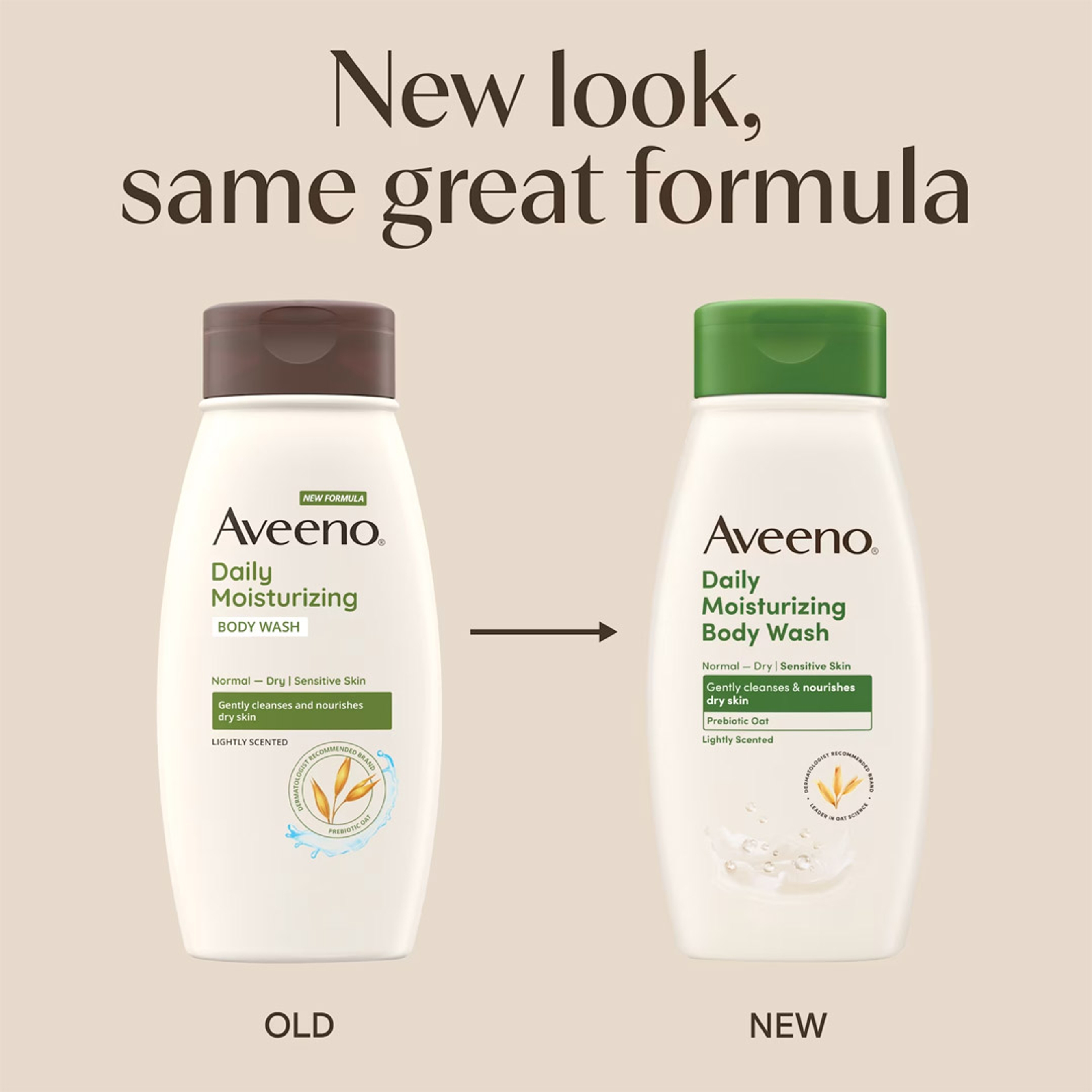 Aveeno Daily Moisturizing Oat Body Wash 12 fl.oz - Sensitive Formula for Normal to Dry Skin 2