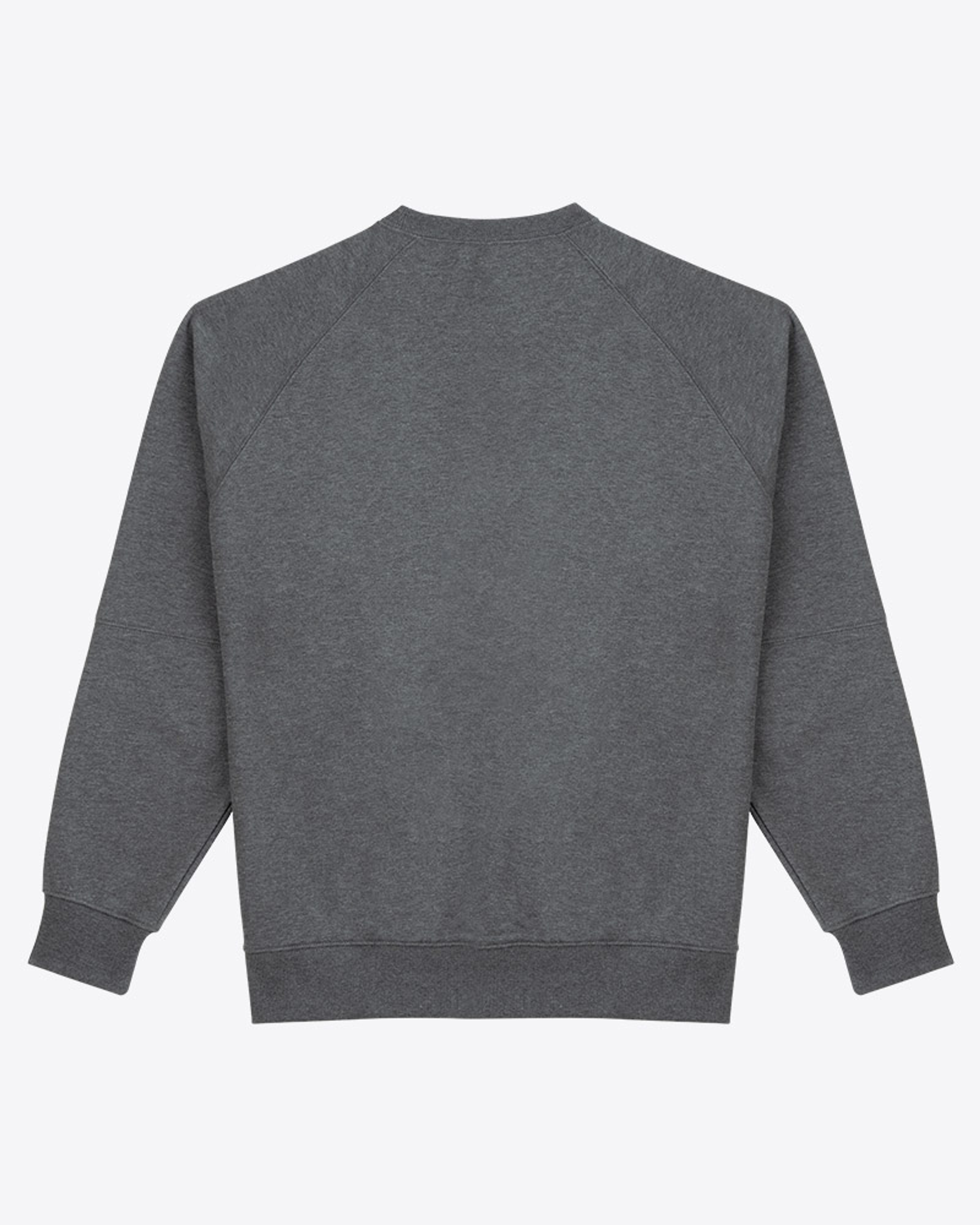 [French Terry] Synctives Men's Relax Fit Sweatshirt 2