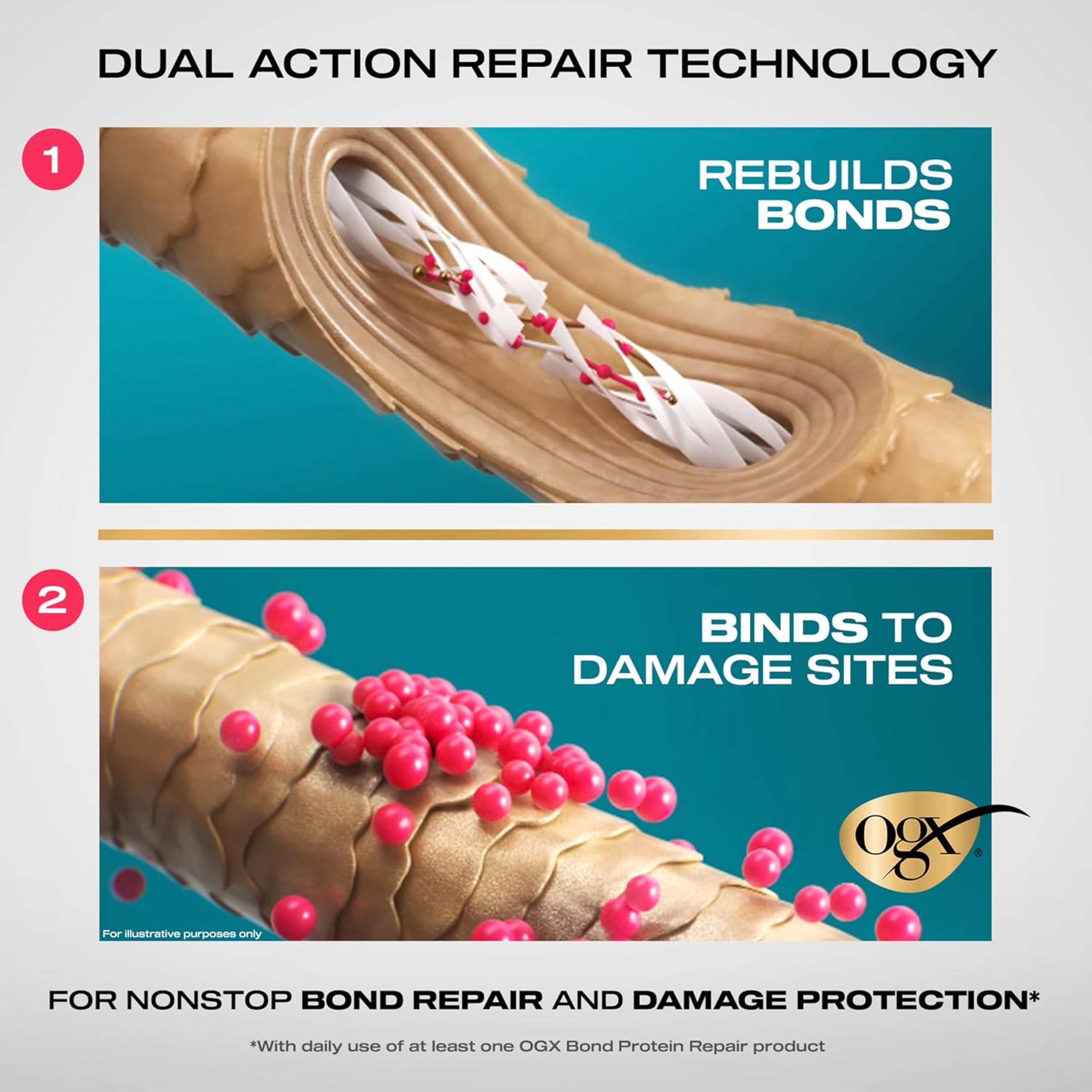 OGX Bond Protein Repair Conditioner 13 fl.oz - Repair & Protect, Lightweight Formula Targets Damaged Hair Areas 4