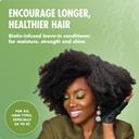 Mielle Rosemary Mint Strengthening Leave-In Conditioner 12 fl.oz - Hydrating Hair Moisturizer with Biotin for Curly Hair 3