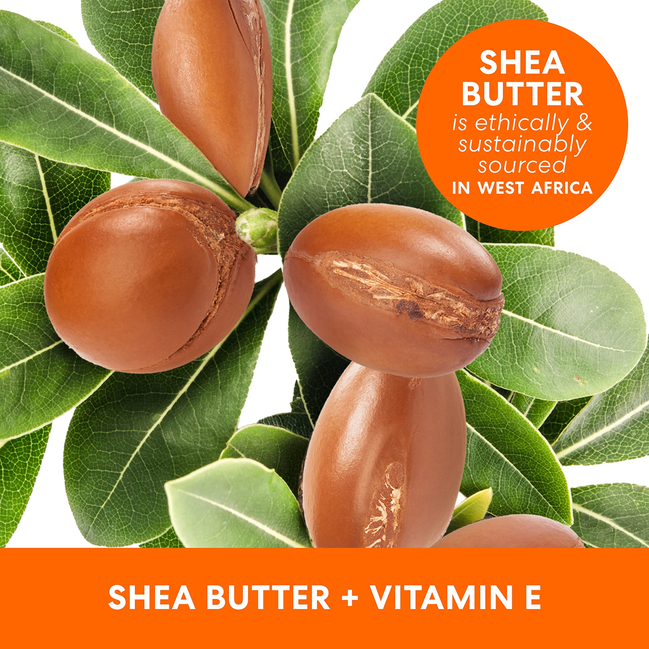 Palmer's Raw Shea Nourish Body Oil 8.5 fl.oz - Deep Body Moisturizer to Soothe & Nourish Dry, Sensitive Skin 4