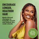 Mielle Rosemary Mint Strengthening Shampoo 12 fl.oz - Moisturizing Shampoo Gently Cleanses, Repairs & Protects Hair 2