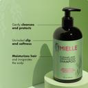 Mielle Rosemary Mint Strengthening Shampoo 12 fl.oz - Moisturizing Shampoo Gently Cleanses, Repairs & Protects Hair 4