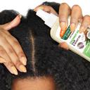 Palmer's Moisture Boost Hair & Scalp Oil 5.1 fl.oz - Coconut Oil Formula Restores Dry, Damaged or Color-Treated Hair 6